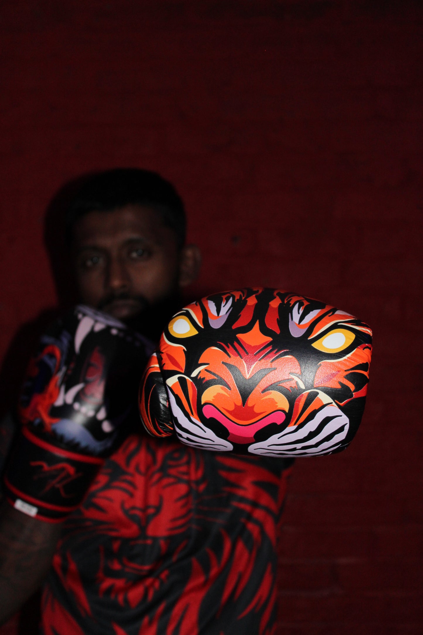 Tiger Boxing Gloves